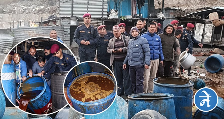 बङ्गुरको कुहिएको आन्द्राबाट मदिरा उत्पादन !