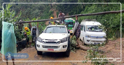 काठमाडौं छिर्ने सबै नाकाहरुको यस्तो छ अवस्था