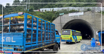 धादिङमा अलपत्र यात्रुहरूलाई यसरी ल्याईदैछ काठमाडौं