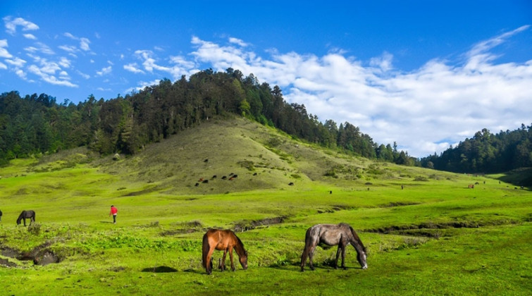 खप्तड भिडियो डकुमेण्ट्री प्रतियोगिता हुने