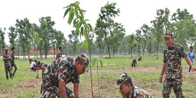 सेनाले रोप्यो दुई हजार बिरुवा