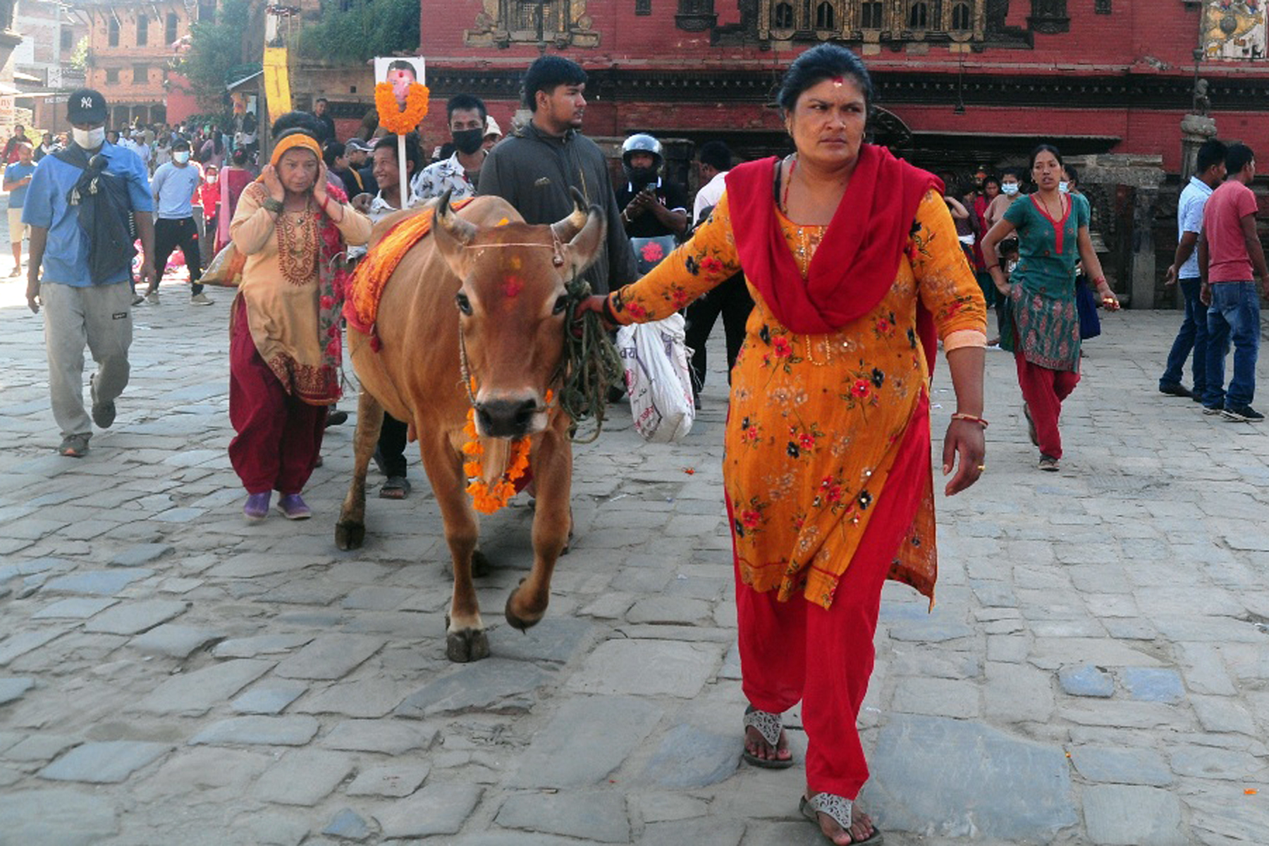 आँसु र हाँसोको सङ्गम सापारु अर्थात् गाईजात्रा