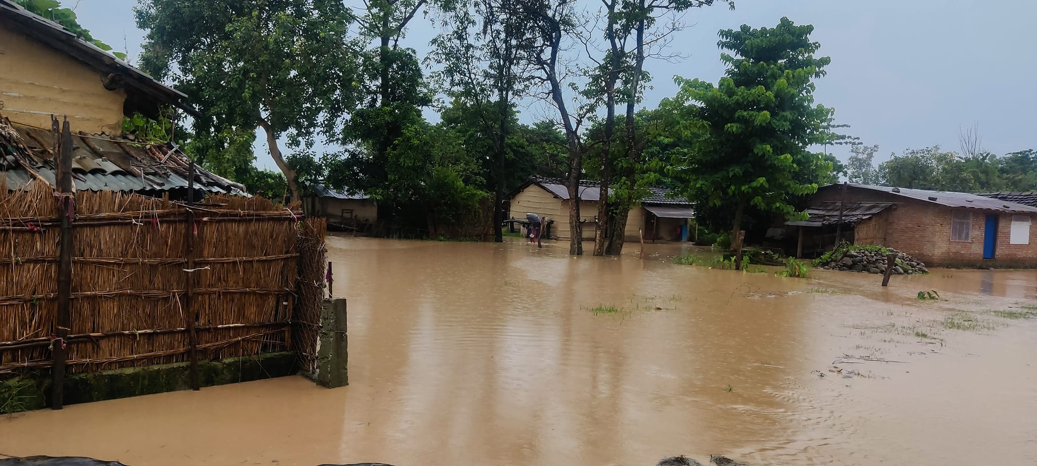 कैलालीमा ३८० भन्दा बढी घर डुबानमा