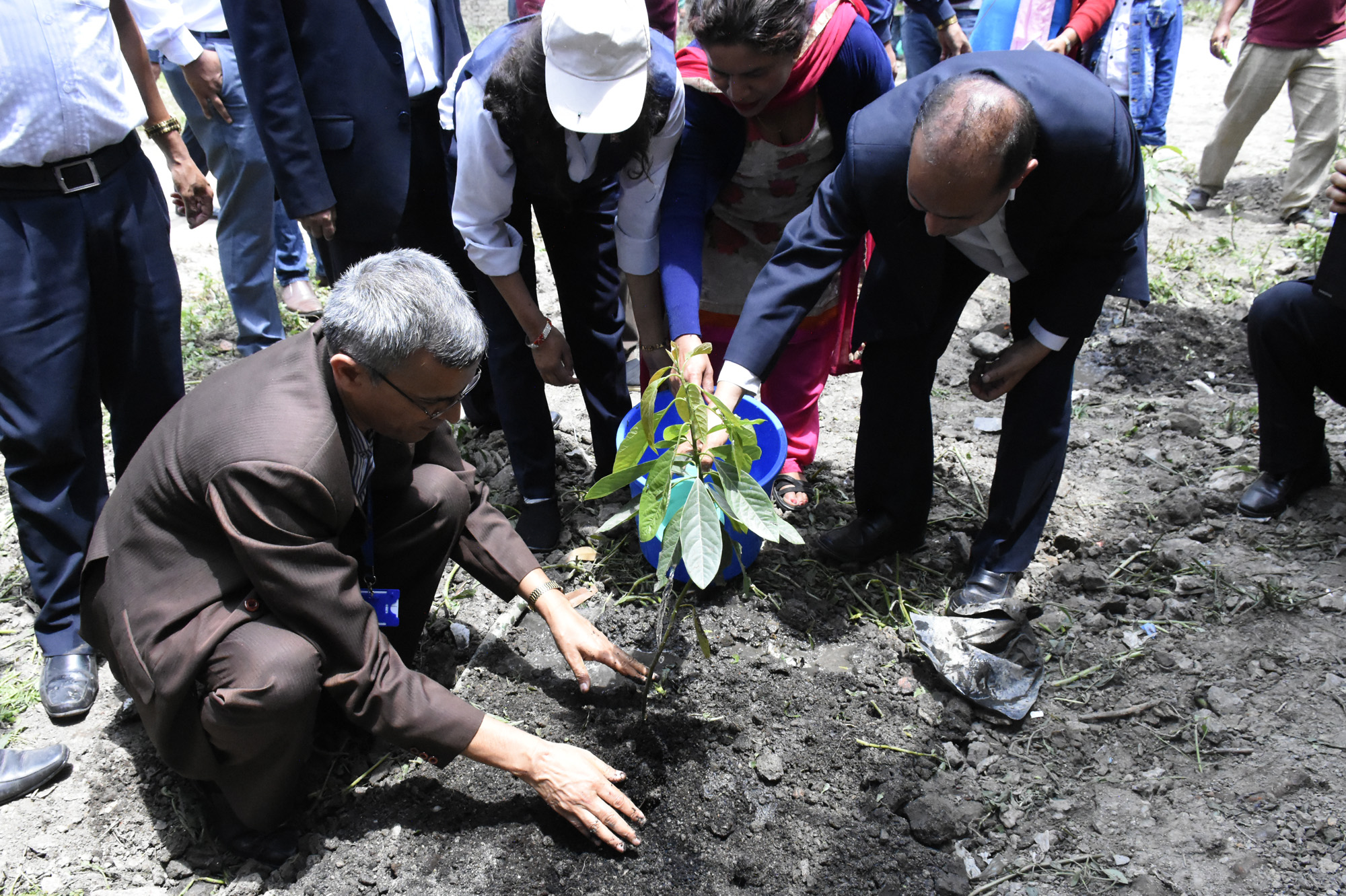 वातावरण दिवसमा प्रधानमन्त्री र मन्त्रीहरुकाे बृक्षारोपण (फोटोफिचर)