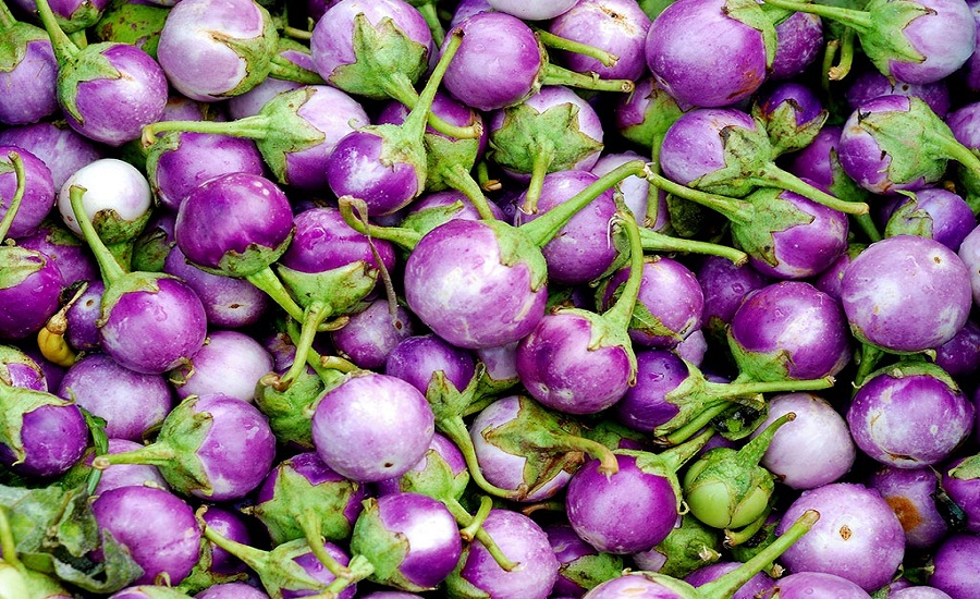 मोटाे व्यक्ति र मधुमेह रोगीका लागि भेन्टा बरदान