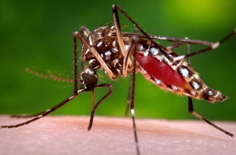 स्वास्थ्य संस्थामै शतप्रतिशत सुत्केरी गराइने