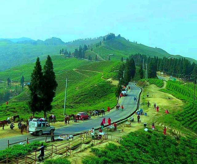 इलामको प्रकृति सुन्दरता देखेर जो कोहिको मन लोभियउने गर्दा छ
