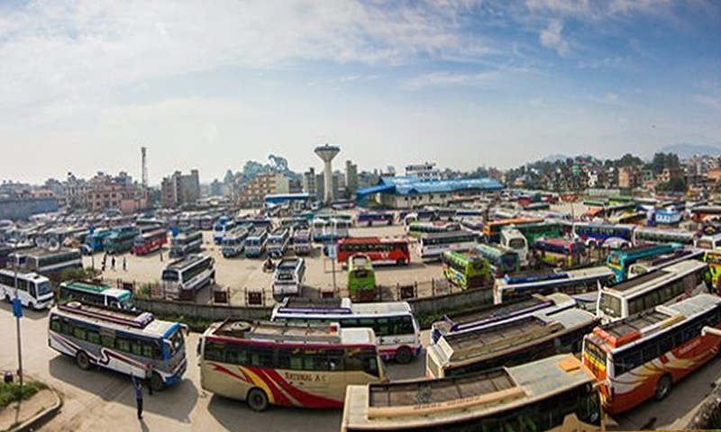 नयाँ बसपार्क क्षेत्रमा वृक्षरोपण