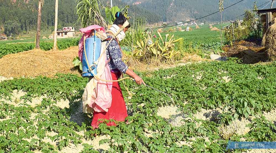 विषादी प्रयोग न्यूनीकरण सचेतना कार्यक्रम :