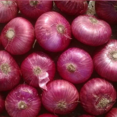 चीनबाट भित्रिन थाल्यो प्याज