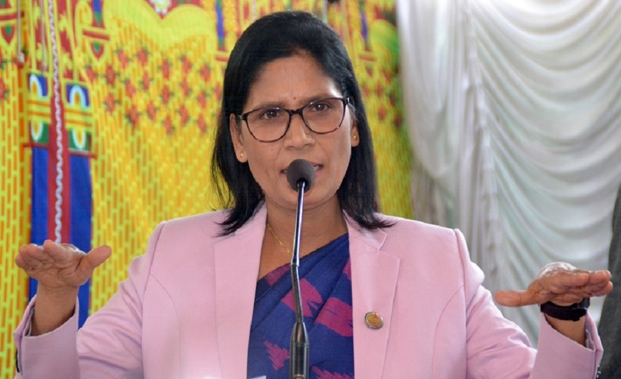 सरकार दीर्घकालीन विकासका योजनामा  छः मन्त्री अर्याल