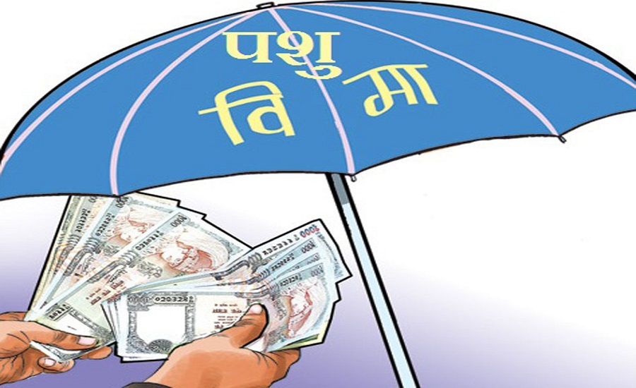 सिसडोलका स्थानीयवासीलाई स्वास्थ्य, कृषि र पशु बिमा
