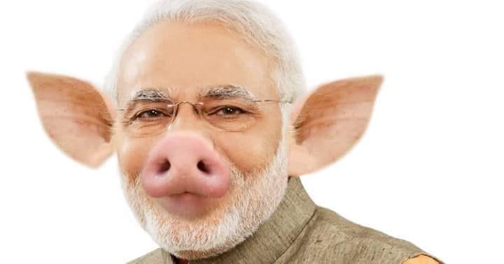 बंगलादेशका राष्ट्रपति र प्रधानमन्त्री ओलीबीच भेटवार्ता