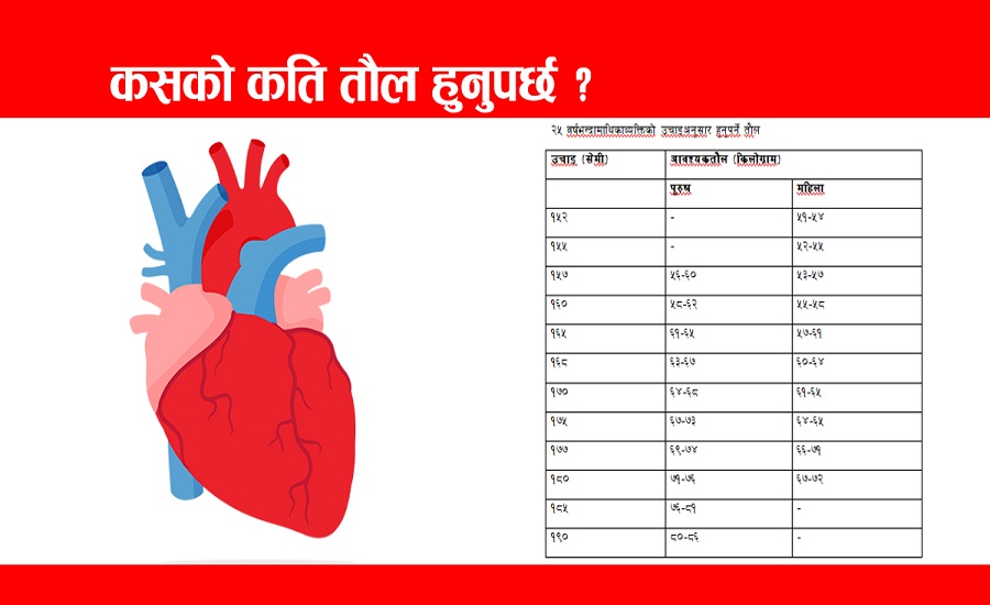 अधिक वजन भएका व्यक्तिलाइ दम हुने सम्भावना बढी