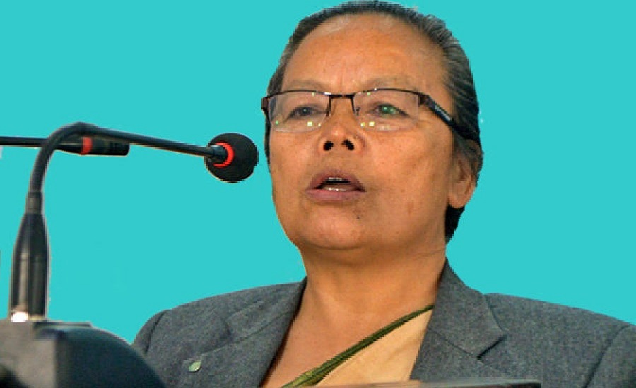 महिला हिंसा रोक्न सामूहिक प्रयासको खाँचो : मन्त्री थापा