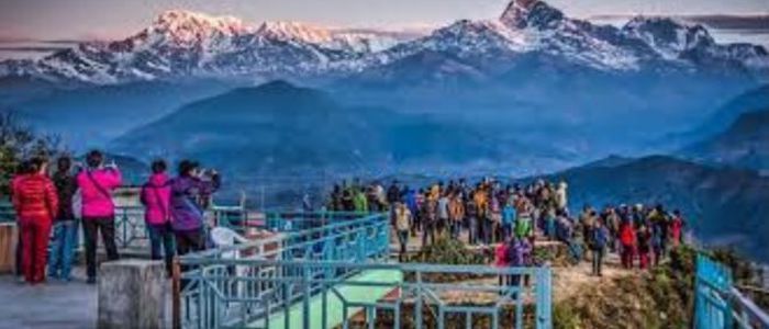 विश्व भेगन र नगरपालिकाबीच साझेदारी