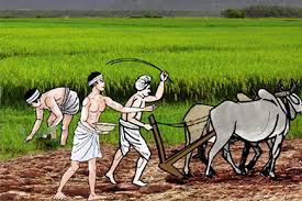 शिक्षण पेशा छाडेर कृषि कर्ममा रमाउँदै जोशी