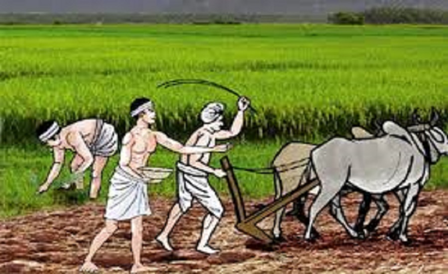 प्रविधि पछ्याउँदै किसान