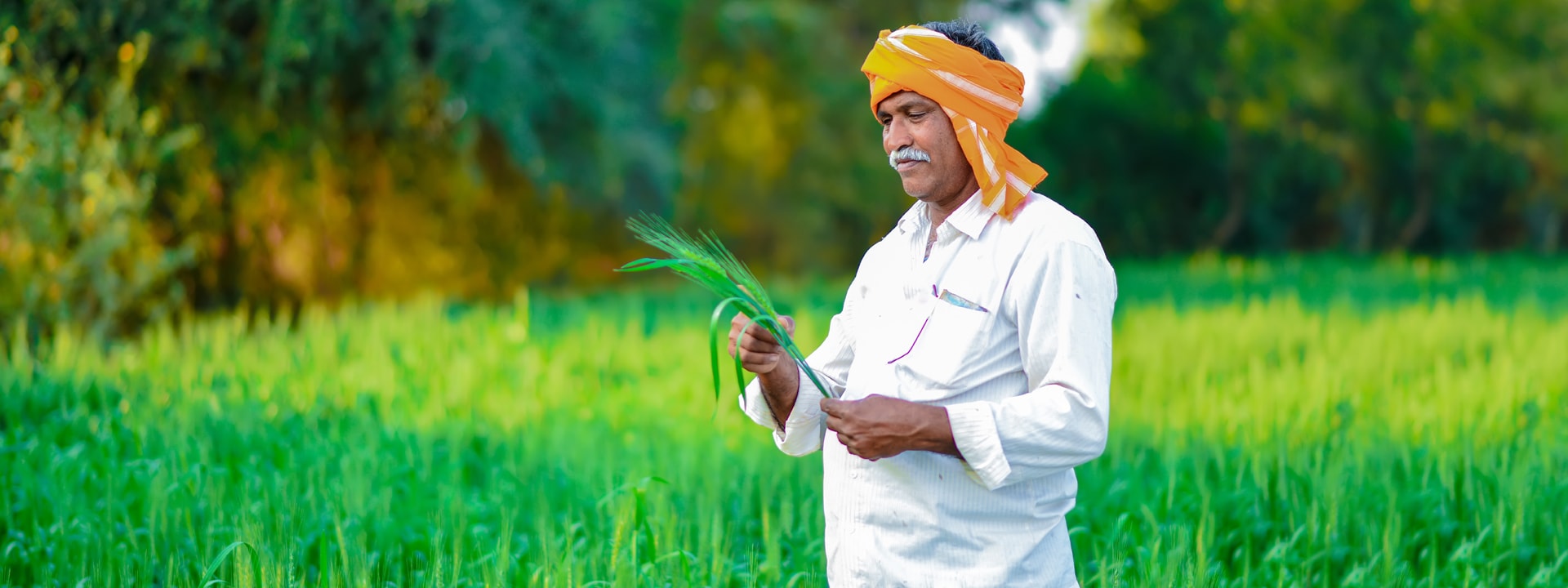 किसानलाई आधुनिक कृषि उपकरणको प्रयोगले सहजता