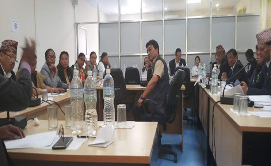 कुवेतमा थुनामा रहेका २१ नेपालीलाई तत्काल फिर्ता गर्न सरकारलाई संसदीय समितिको निर्देशन