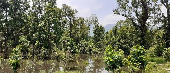 पर्यटकीय गन्तव्य बन्दै ‘बाउन्नघोला सिमसार क्षेत्र’