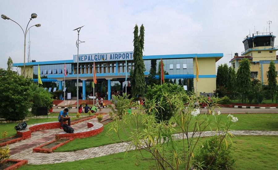 विमानस्थलमा झाडीका कारण बँदेलको प्रकोप