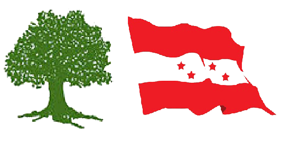 काँग्रेसभित्र १४औँ महाधिवेशनलक्षित शक्ति सङ्घर्ष तीव्र