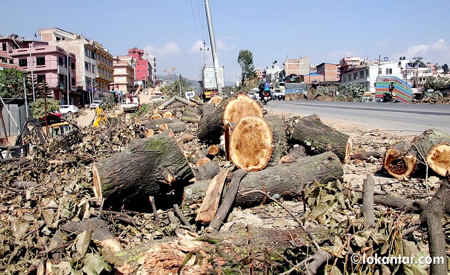 कलंकी–महाराजगञ्ज सडक विस्तारका लागि तयारीका काम तीव्र