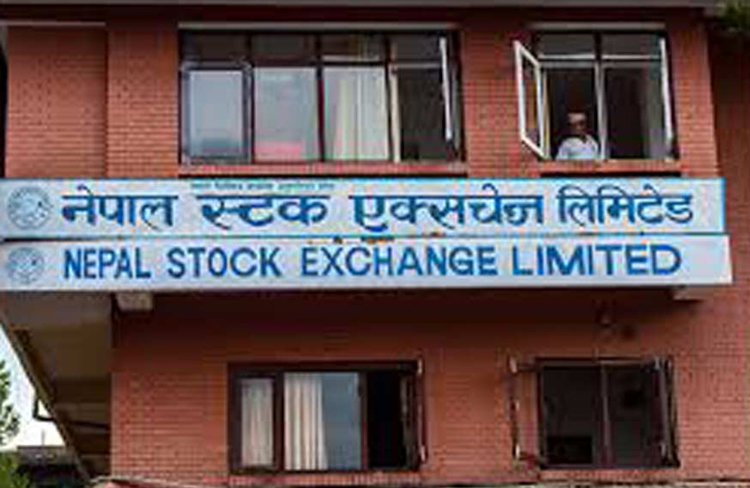 झीनो अङ्कले घट्यो नेप्से