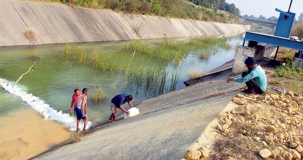 किसानका खेतमा राप्तीको पानी