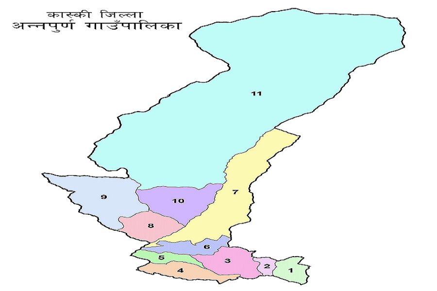 चिकित्सा शिक्षा अध्ययनरत् चार विद्यार्थी सम्मानित