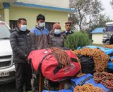 बुद्धचित्त र रुद्राक्षको माला तथा दानासहित ३ युवा पक्राउ