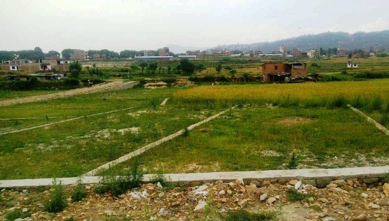विद्यालयलाई जग्गा दान