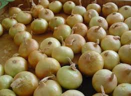 ५ महिनामा चीनबाट मात्र १० लाख किलो प्याज आयात