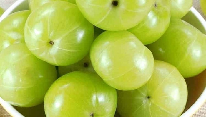 कब्जियतदेखि क्यान्सर रोगसम्मका लागि ‘अमला’ प्रभावकारी