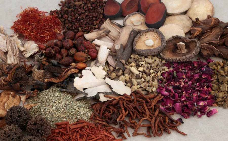 झापामा वनस्पति प्रशोधन केन्द्र